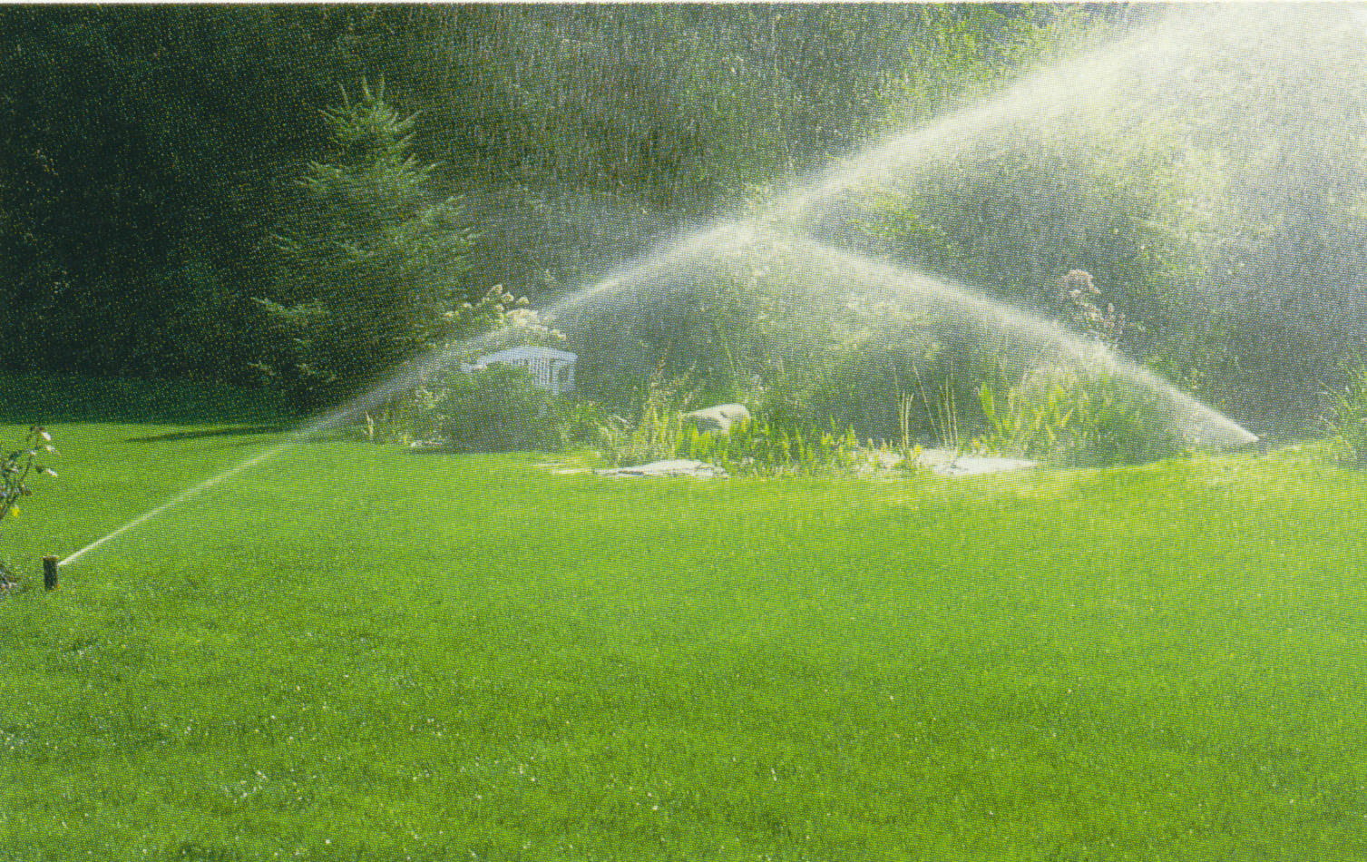 6 High Tech Sprinklers To Keep Your Lawn Green Best Lawn Sprinkler Water Sprinkler Lawn Sprinkler System